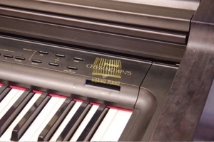 Đàn Piano Casio AP 75