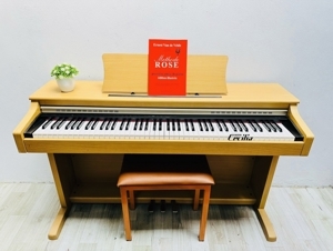 Đàn Piano Casio AP38