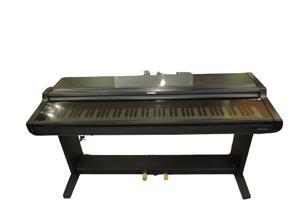 Đàn Piano Casio CDP-5500