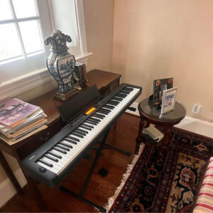 Đàn piano Casio CDP S350