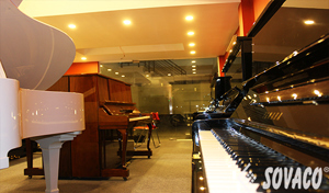 Đàn piano Casio CDP S350