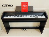 Đàn Piano Casio PX750