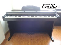 Đàn piano Casio VJ201 | PIANO GIÁ RẺ NHẤT HÀ NỘI