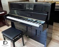 Đàn Piano Cơ Eterna