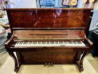 Đàn Piano điện Carl Seiler giá rẻ