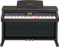 Đàn Piano Điện Casio AL100R