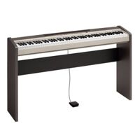 Đàn Piano Điện Casio PX-120