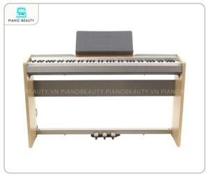 Đàn Piano Điện Casio PX-120