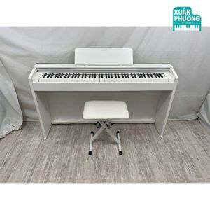 Đàn Piano Điện Casio PX-2000GP