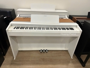 Đàn Piano Điện Casio PX-2000GP