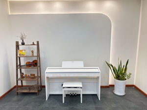Đàn Piano Điện Casio PX-2000GP