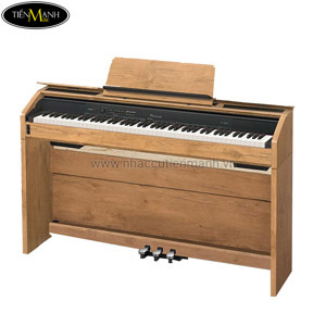 Đàn Piano Điện Casio PX-800