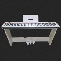 Đàn Piano Điện Giá Rẻ