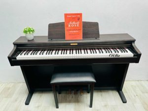 Đàn piano điện Kawai CN-21
