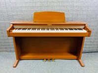 Đàn Piano Điện Kawai CN 21C