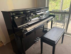 Đàn Piano Điện Kawai CS11