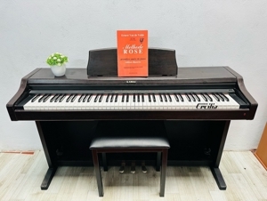 Đàn piano điện Kawai PN-290