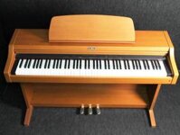 Đàn Piano Điện Kawai PN290C