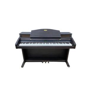 Đàn Piano Điện Kawai PW-1000