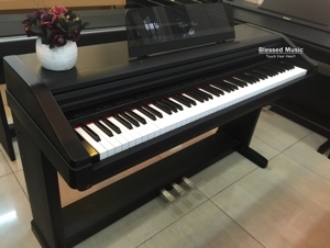 Đàn Piano Điện Kawai PW-600