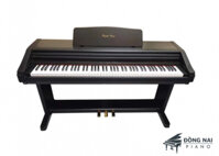 Đàn Piano Điện Kawai PW-800