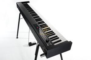 Đàn Piano điện Korg D1