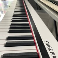 ĐÀN PIANO ĐIỆN MAXWELL 100 ( Trắng)