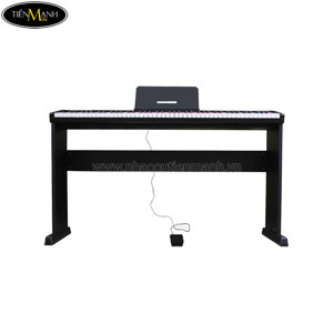 Đàn piano điện maxwell 100