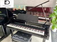 Đàn piano điện Roland Digital Piano RG-3F