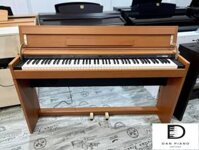 Đàn Piano Điện Roland DP900