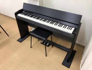 Đàn Piano Điện Roland F120 (F-120)
