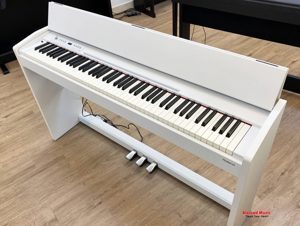Đàn Piano Điện Roland F120 (F-120)