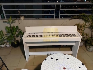 Đàn Piano Điện Roland F120 (F-120)