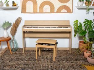 Đàn piano điện Roland F701