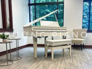 Đàn piano điện Roland GP-607
