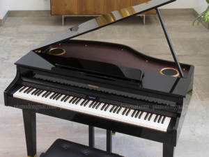 Đàn piano điện Roland GP-607