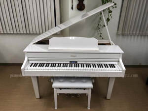 Đàn piano điện Roland GP-607