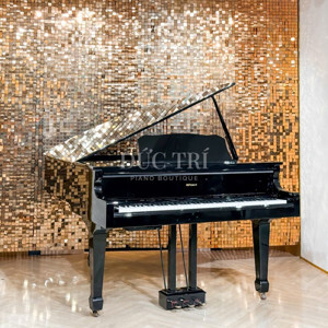 Đàn piano điện Roland GP-609