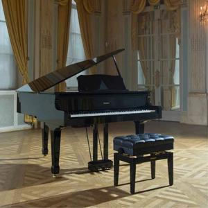 Đàn piano điện Roland GP-609