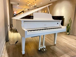 Đàn piano điện Roland GP-609