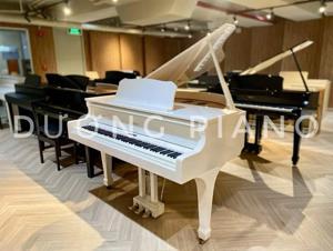 Đàn piano điện Roland GP-609