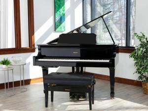 Đàn piano điện Roland GP-609