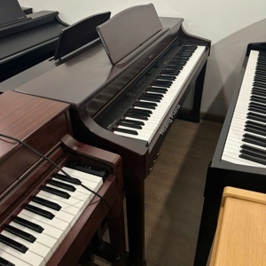 Đàn Piano Điện Roland HP-555G