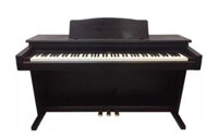 Đàn Piano Điện Roland HP230