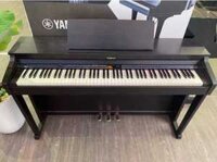 Đàn Piano Điện Roland HP503