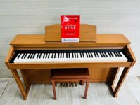 Đàn Piano điện Roland HP504