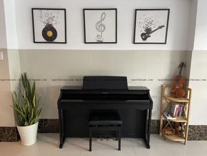 Đàn piano điện Roland HP505