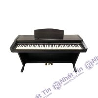 Đàn piano điện Roland PT1000