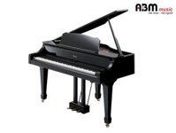 Đàn Piano Điện ROLAND RG-3F PE