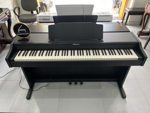 Đàn Piano điện Roland RP-102